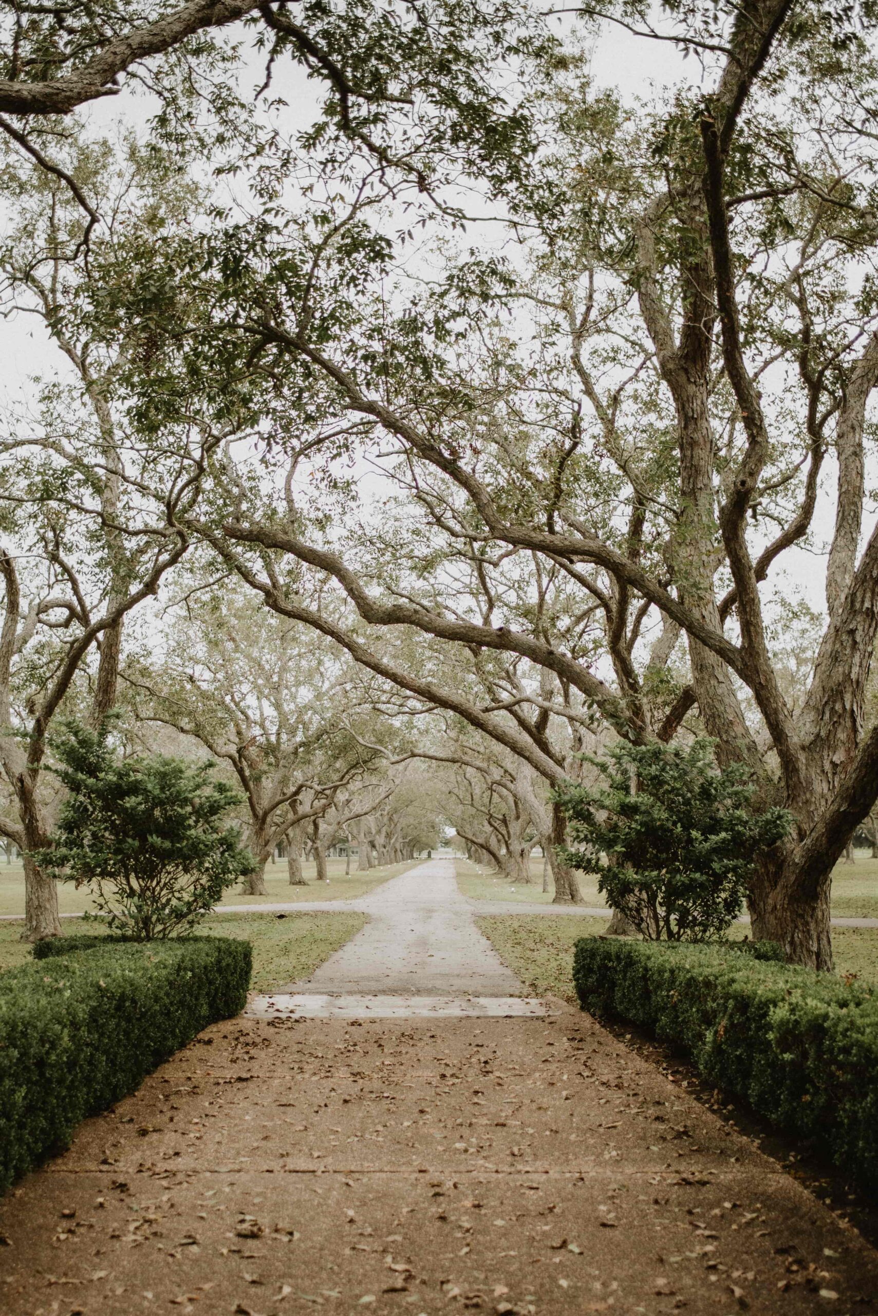 orchard at caney creek walkway